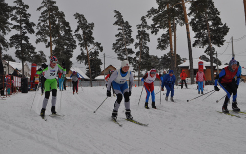 Кубок Амира Гареева